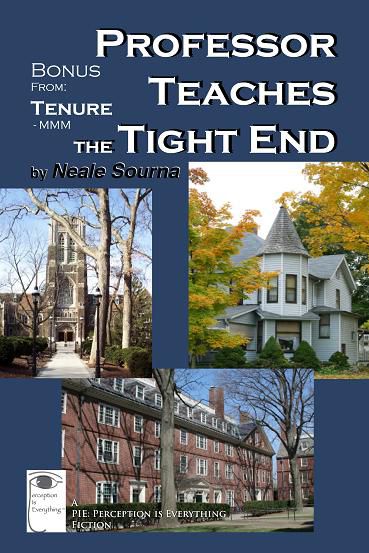 ebook cover Professor Teaches the Tight End