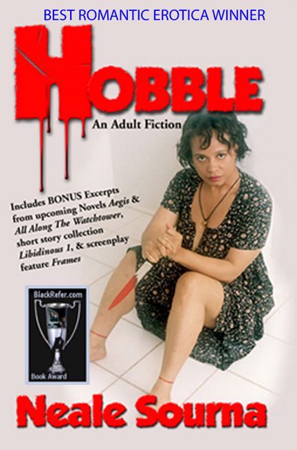 ebook novel cover of HOBBLE by Neale Sourna