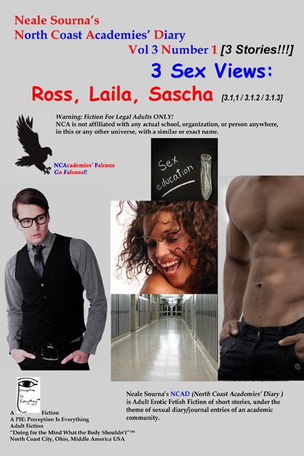 ebook cover NCAD 3.1_3 Sex Views: Ross, Laila, Sascha