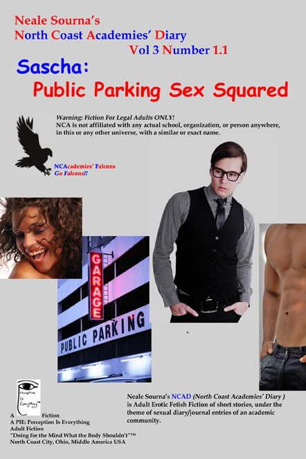 ebook cover NCAD 3.1.1 Sascha: Public Parking Sex Squared