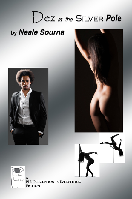 Dez at the Silver Pole_ebook cover